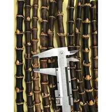 Indlæs billede til gallerivisning Selected Black/Brown Bamboo Roots for Pipe Makers - Wholesale Quantities
