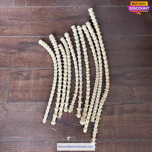 Selected Premium Bamboo roots with dense knots for Pipe Makers - Wholesale