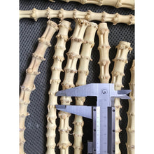 Cargar imagen en el visor de la galería, Selected Premium Bamboo roots with dense knots for Pipe Makers - Wholesale
