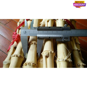 Selected Premium Golden Bamboo Roots Dia.1.8-2.5cm for Knife Makers