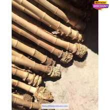 Load image into Gallery viewer, Selected Premium Madake Bamboo Poles (29.5&quot;-39.4&quot;/75-100cm) with Root Ball for Shakuhachi, Xiao, and Flute Making
