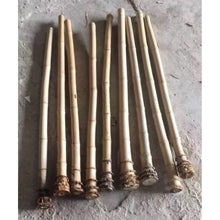 Cargar imagen en el visor de la galería, Selected Premium Madake Bamboo Poles (29.5&quot;-39.4&quot;/75-100cm) with Root Ball for Shakuhachi, Xiao, and Flute Making - Wholesale
