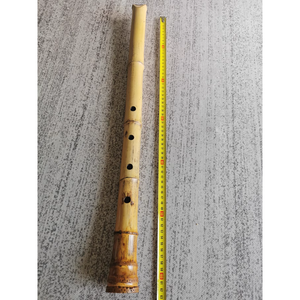Selected Premium Madake Bamboo Poles (29.5"-39.4"/75-100cm) with Root Ball for Shakuhachi, Xiao, and Flute Making - Wholesale