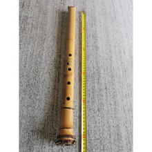이미지를 갤러리 뷰어에 로드 , Selected Premium Madake Bamboo Poles (29.5&quot;-39.4&quot;/75-100cm) with Root Ball for Shakuhachi, Xiao, and Flute Making - Wholesale
