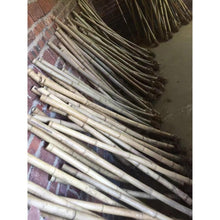 Cargar imagen en el visor de la galería, Selected Premium Madake Bamboo Poles (29.5&quot;-39.4&quot;/75-100cm) with Root Ball for Shakuhachi, Xiao, and Flute Making - Wholesale
