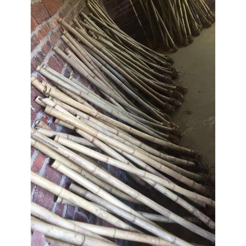 Selected Premium Madake Bamboo Poles (29.5