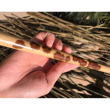 이미지를 갤러리 뷰어에 로드 , Selected Premium Spot Bamboo Stems for Pipe Makers
