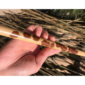 Selected Premium Spot Bamboo Stems for Pipe Makers