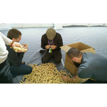 画像をギャラリービューアに読み込む, Selected Professional Narrow Knuckles Bamboo for Pipe Makers - Wholesale Quantities
