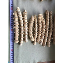 Cargar imagen en el visor de la galería, Selected Professional Narrow Knuckles Bamboo for Pipe Makers - Wholesale Quantities
