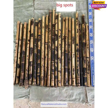 Cargar imagen en el visor de la galería, Selected Spotted Madake Bamboo Poles (L29.5&quot;-39.4&quot;/75-100cm) with Root Ball for Shakuhachi flute Making
