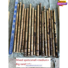 Cargar imagen en el visor de la galería, Selected Spotted Madake Bamboo Poles (L29.5&quot;-39.4&quot;/75-100cm) with Root Ball for Shakuhachi flute Making
