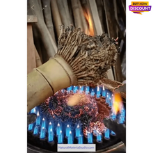 Cargar imagen en el visor de la galería, Selected Spotted Madake Bamboo Poles (L29.5&quot;-39.4&quot;/75-100cm) with Root Ball for Shakuhachi flute Making

