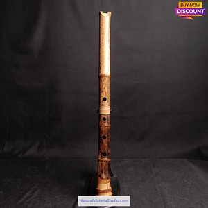 Selected Spotted Madake Bamboo Poles (L29.5"-39.4"/75-100cm) with Root Ball for Shakuhachi flute Making