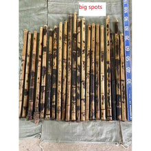 Carica l&#39;immagine nel visualizzatore di Gallery, Selected Varied Spots Size Premium Length Madake Bamboo Poles (29.5&quot;-39.4&quot;/75-100cm) with Root Ball for Shakuhachi, Xiao, and Flute Making
