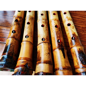 Selected Varied Spots Size Premium Length Madake Bamboo Poles (29.5"-39.4"/75-100cm) with Root Ball for Shakuhachi, Xiao, and Flute Making