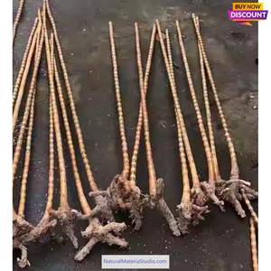 Vaired length of Dia. 2.3-2.5cm Golden Line Bamboo rods for defence/kung fu/martial arts/Walking /Hiking sticks/ski