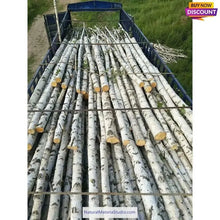 Load image into Gallery viewer, Birch Bark Sheets (11.8"X15.7" and 11.8"X19.6") for Crafting and Home Decor-NaturalMateriaStudio-NaturalMateriaStudio
