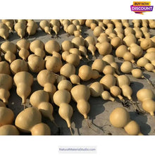 Load image into Gallery viewer, Double Bulbous Large Bottle Gourds 11.8"-19.7"(30-50CM) High dry &amp; clean Wholesale amounts-NaturalMateriaStudio-NaturalMateriaStudio

