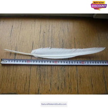 Cargar imagen en el visor de la galería, L/R/W 30-35 cm White and other colors goose primary feathers for arrow fletching or feather pen/fan Wholesale Amounts-NaturalMateriaStudio-NaturalMateriaStudio
