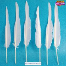Cargar imagen en el visor de la galería, L/R/W 30-35 cm White and other colors goose primary feathers for arrow fletching or feather pen/fan Wholesale Amounts-NaturalMateriaStudio-NaturalMateriaStudio
