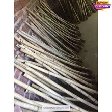 Ladda upp bild till gallerivisning, Selected Premium Madake Bamboo Poles (L29.5"-39.4"/75-100cm) ID 1.6-3.7cm with Root Ball for Shakuhachi, Xiao, and Flute Making-NaturalMateriaStudio-NaturalMateriaStudio
