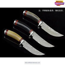 Load image into Gallery viewer, Raw Unpolished Tibet Yak L5.0-22cm Dia.1.8-3.5cm White&amp;Colorful Solid Horn Tips for Crafting-NaturalMateriaStudio-NaturalMateriaStudio
