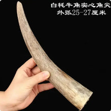 Load image into Gallery viewer, Raw Unpolished Tibet Yak L9.0-25cm Dia.1.8-3.5cm White&amp;Colorful Solid Horn Tips for Crafting NaturalMateriaStudio

