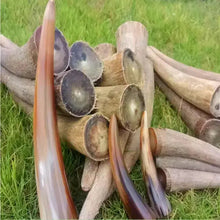 Load image into Gallery viewer, Raw Unpolished Tibet Yak L12.0-27cm Dia.2.0-5.0cm White&amp;Colorful Solid Horn Tips for Crafting NaturalMateriaStudio
