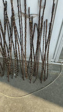 Carica e avvia il video nel visualizzatore di galleria, New &amp; Rare Black Bamboo Root Sticks Length 80cm(31.5&quot;)Dia.0.9-1.3cm(0.35&quot;-0.5&quot;) Unique Supply
