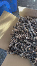 Indlæs og afspil video i gallerivisning Selected Black/Brown Bamboo Roots for Pipe Makers - Wholesale Quantities
