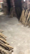 Carica e avvia il video nel visualizzatore di galleria, Selected Premium Madake Bamboo Poles (29.5&quot;-39.4&quot;/75-100cm) with Root Ball for Shakuhachi, Xiao, and Flute Making
