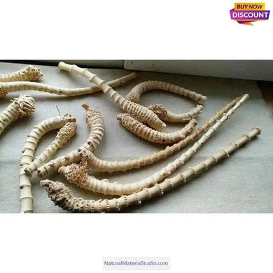 プレミアム竹製スキーポール＆ハイキング用杖 - 今すぐ購入