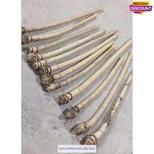 Cargar imagen en el visor de la galería, Selected Premium Madake Bamboo Poles (L29.5"-39.4"/75-100cm) ID 1.6-3.7cm with Root Ball for Shakuhachi, Xiao, and Flute Making-NaturalMateriaStudio-NaturalMateriaStudio
