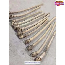Cargar imagen en el visor de la galería, Selected Premium Madake Bamboo Poles (L29.5"-39.4"/75-100cm) ID 1.6-3.7cm with Root Ball for Shakuhachi, Xiao, and Flute Making-NaturalMateriaStudio-NaturalMateriaStudio
