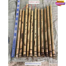 Cargar imagen en el visor de la galería, Selected Spotted Madake Bamboo Poles (L29.5"-39.4"/75-100cm) ID 1.6-2.5cm with Root Ball for Shakuhachi flute Making-NaturalMateriaStudio-NaturalMateriaStudio
