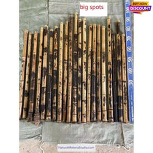 Cargar imagen en el visor de la galería, Selected Spotted Madake Bamboo Poles (L29.5"-39.4"/75-100cm) ID 1.6-2.5cm with Root Ball for Shakuhachi flute Making-NaturalMateriaStudio-NaturalMateriaStudio
