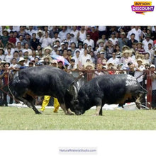 Cargar imagen en el visor de la galería, Vaired size 5x20cm Water Black Bufallo horn Scales for making bow/knife handles ring/eyeglass frame-NaturalMateriaStudio-NaturalMateriaStudio
